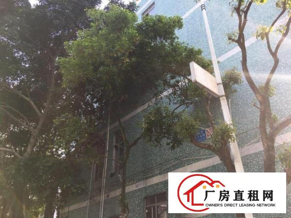
出租坪山新区周边聚龙山公园附近企业园区内员工宿舍30间