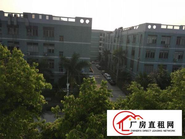 
出租坪山新区周边聚龙山公园附近企业园区内员工宿舍30间