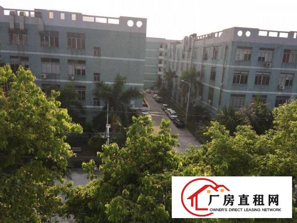 
出租坪山新区周边聚龙山公园附近企业园区内员工宿舍30间