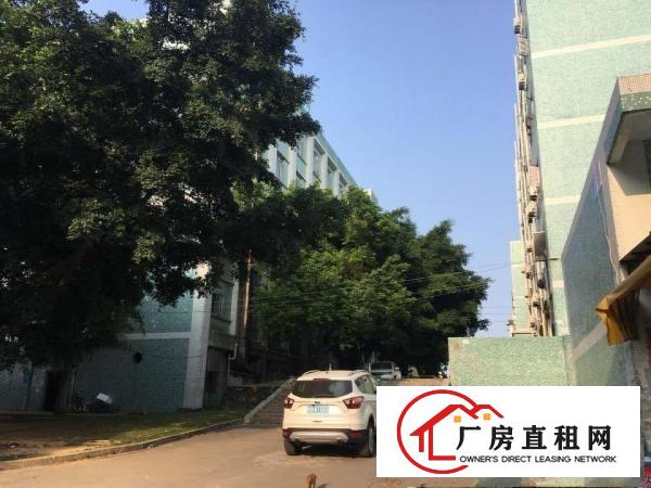 
出租坪山新区周边聚龙山公园附近企业园区内员工宿舍30间