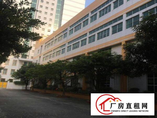 
惠阳红本厂房23800平招租