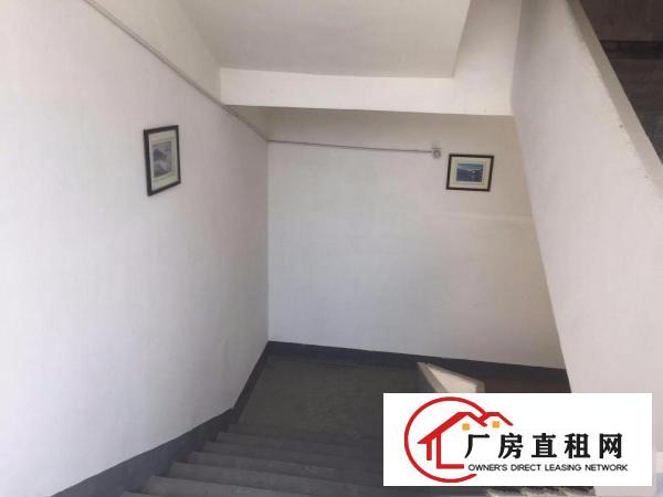 
坪山区金碧路厂房业主直租