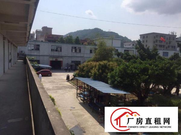
业主直租，碧岭独院厂房！