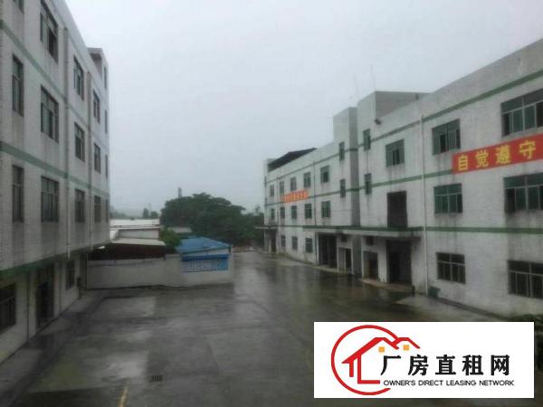 
坪山沙湖，汤坑，碧岭大小一楼厂房12元急租