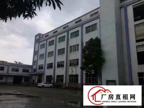 
坪山沙湖，汤坑，碧岭大小一楼厂房12元急租