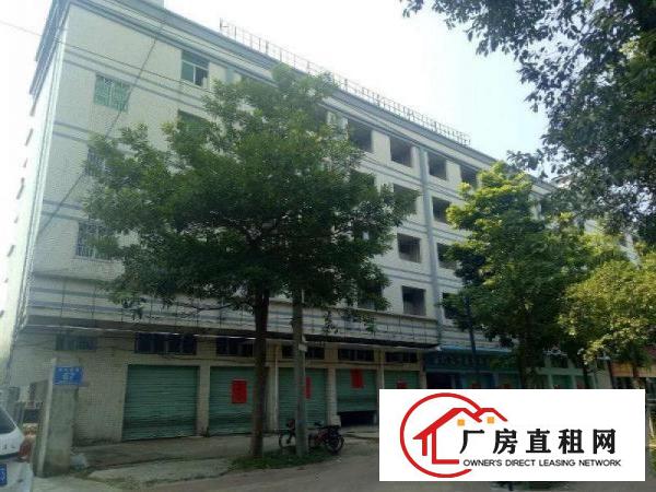 
深圳大工业区厂房2200平米18元业主直租