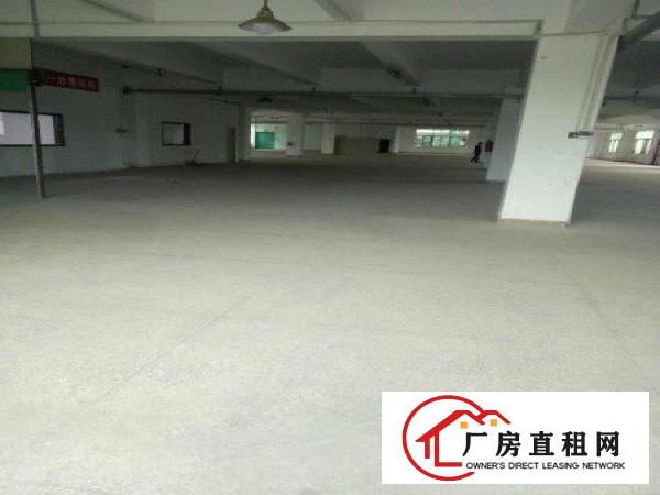 
深圳大工业区厂房2200平米18元业主直租