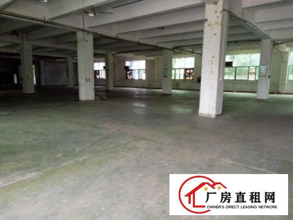 
坪山大工业区业主自有厂房出租可分租