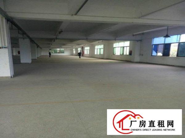 
坪山大工业区业主自有厂房出租可分租