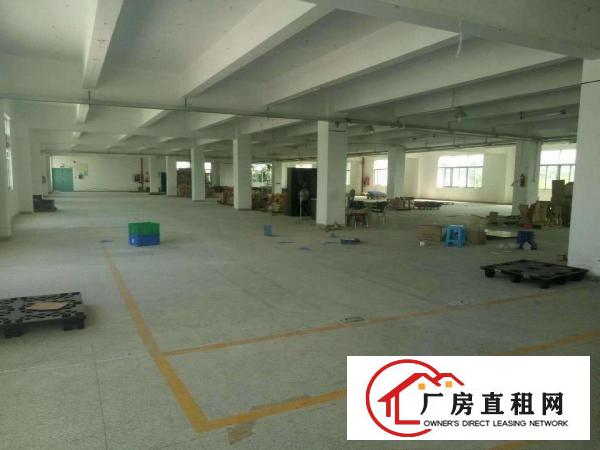 
坪山石井2200平米业主自有厂房出租可分租