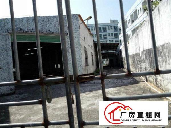 
坪山宝龙路口深汕路边上一楼钢构独院厂房就在路边上