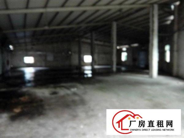 
坪山宝龙路口深汕路边上一楼钢构独院厂房就在路边上