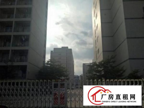 
坪山新出原房东37楼每层1800平厂房出租