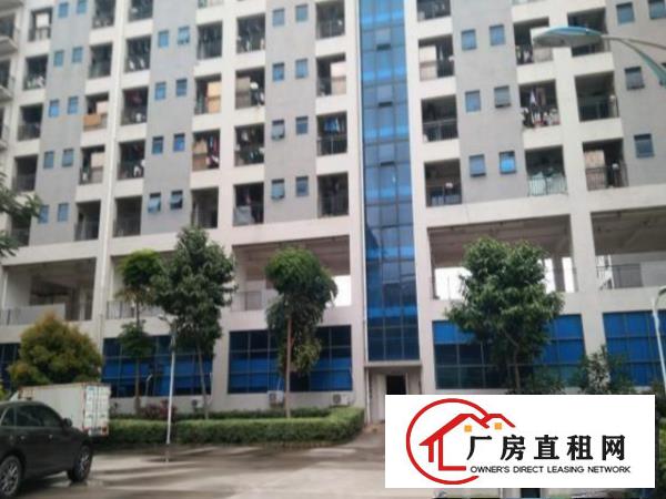 
坪山大工业区原房东楼上1800平带消防喷淋厂房出