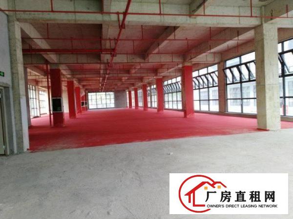 
坪山大工业区高新产业园享受政府补贴红本工业厂房出租