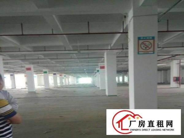 
坪山大工业区楼单层15000平方。共30000平方