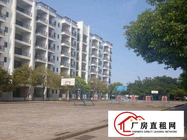 
坪山大工业区楼单层15000平方。共30000平方
