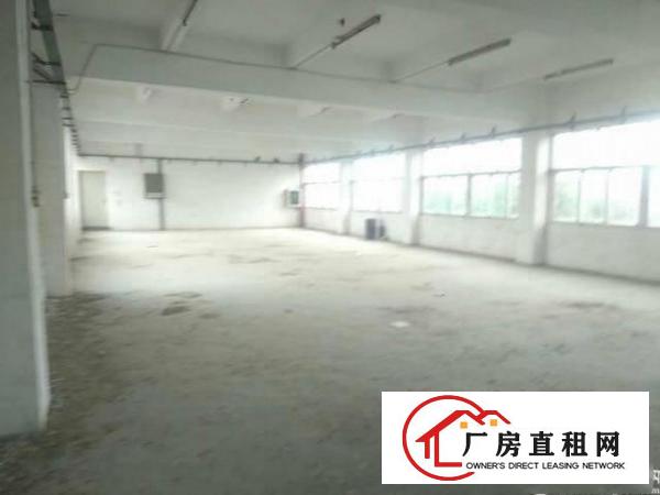 
坪山新出480平一楼标准厂房出租