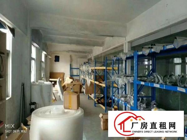 
坪山碧岭经典小独院2780平厂房出租