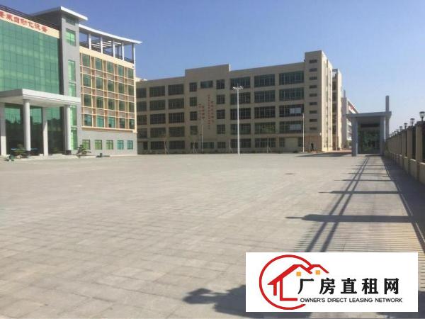 
坪山全新红本高新产业园招租