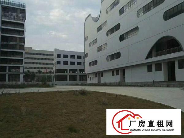 
坪山新出28万平带卸货平台进出口企业专用厂房