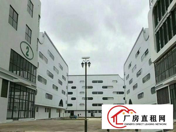 
坪山新出28万平带卸货平台进出口企业专用厂房