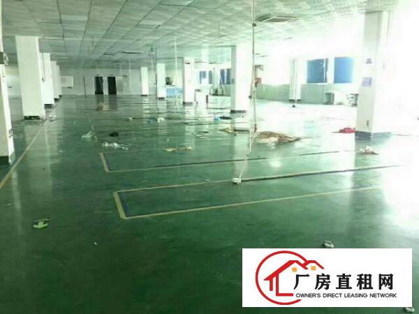 
坪山沙湖新出带精装修450平厂房租12元