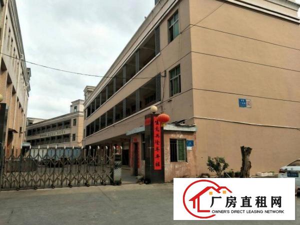 
坪山坪环工业区新出独院厂房3300平宿舍1500平