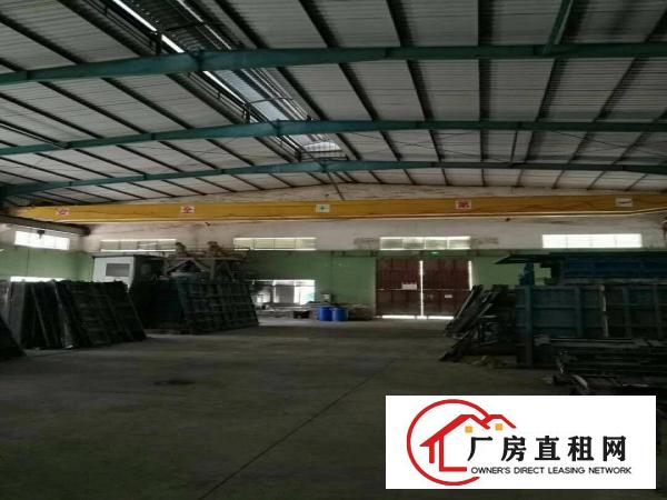 
独院10m钢构厂房出租