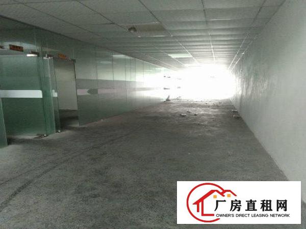 
坪山深汕公路边新出精品小独院大小分租带装修电梯