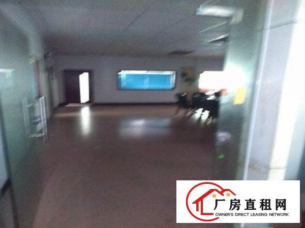 
坪山深汕公路边新出精品小独院大小分租带装修电梯
