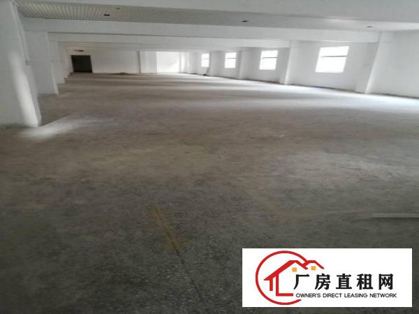 
坪山深汕公路边新出精品小独院大小分租带装修电梯