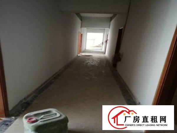 
坪山深汕公路边新出精品小独院大小分租带装修电梯