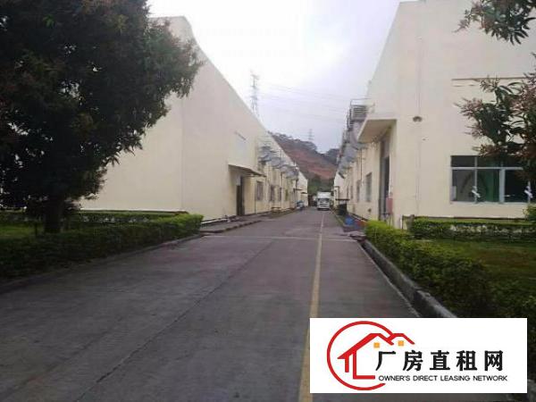 
坪山金碧路一楼标准厂房860平带装修实际面积招租