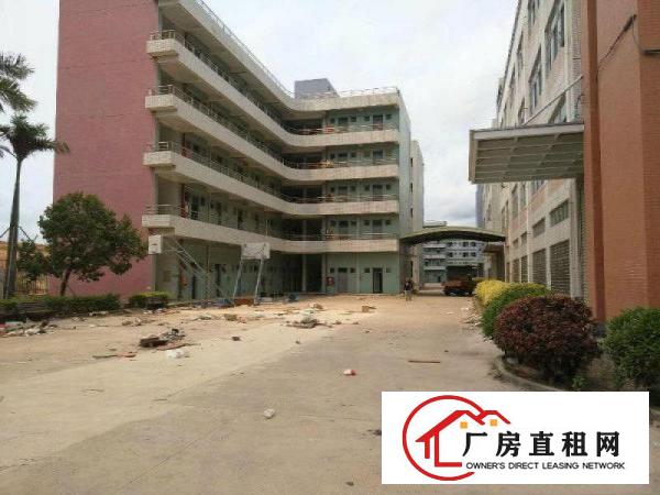 
坪山大工业区独栋标准厂房60000平方带装修出租