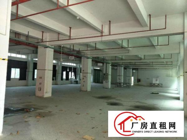 
坪山大工业区独栋标准厂房60000平方带装修出租