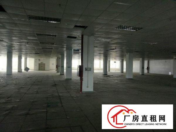 
坪山大工业区独栋标准厂房60000平方带装修出租