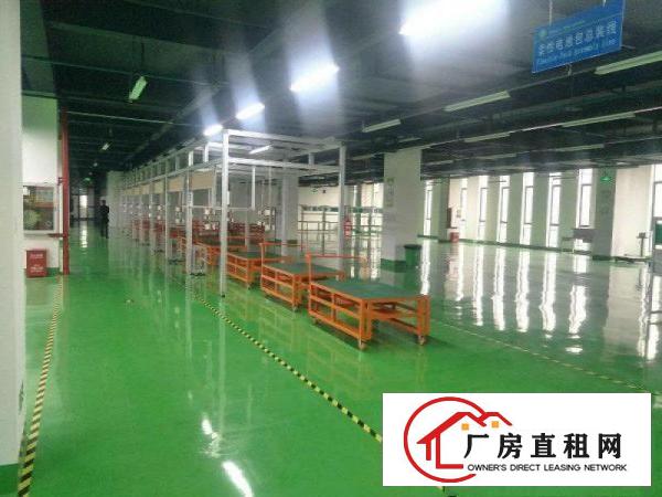 
坪山老坑工业区新出原房东独院厂房4800平方出租