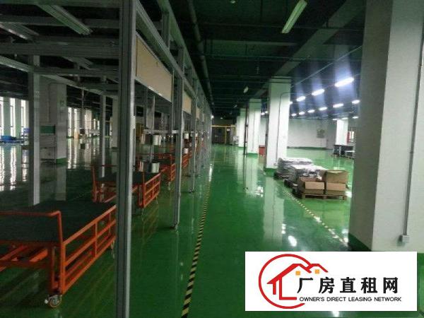 
坪山老坑工业区新出原房东独院厂房4800平方出租