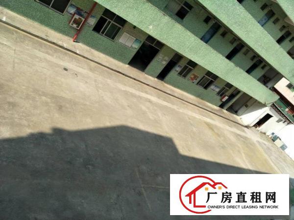 
坪山江岭社区新出楼上450平出租