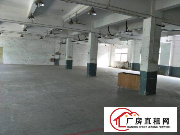 
坪山江岭社区新出楼上450平出租