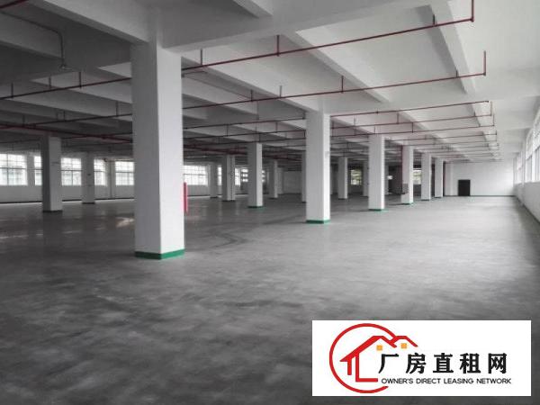 
坪山原房东小独院带红本900平有装修