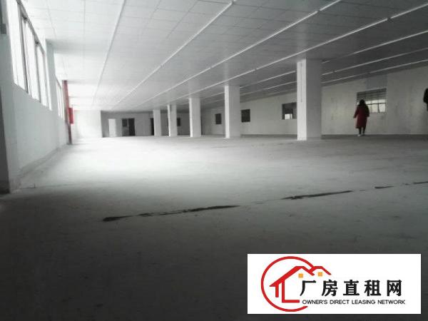 
坪山4500平米独栋带装修村委厂房出租，免转让费
