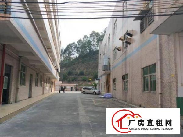 
坪山碧岭新出原房东带装修一楼600平厂房出租