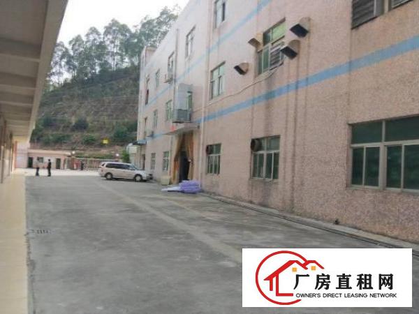 
坪山碧岭新出原房东带装修一楼600平厂房出租
