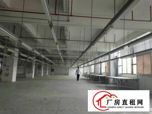 
坪山新区红本独院厂房6万平方招租，可分租