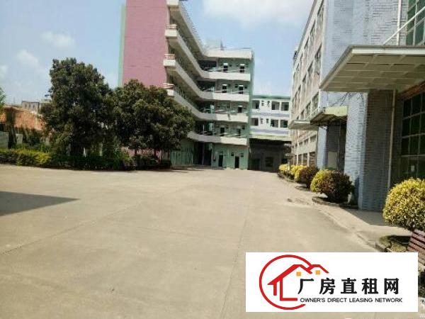 
坪山新区红本独院厂房6万平方招租，可分租