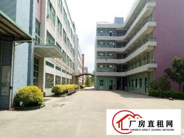 
坪山新区红本独院厂房6万平方招租，可分租