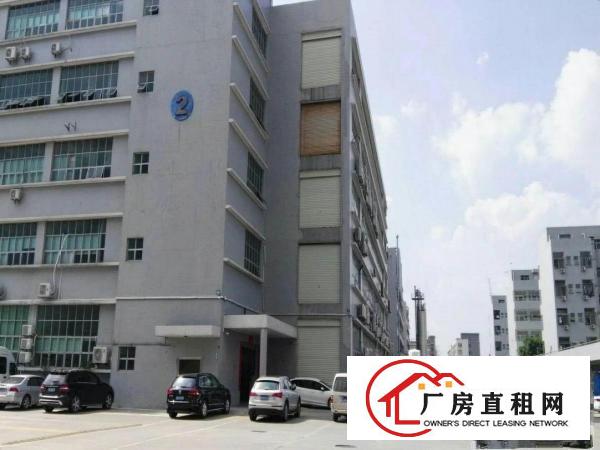 
坪山大工业区一楼2300平米带红本6米高出租