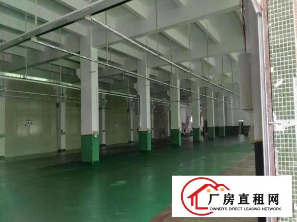 
坪山大工业区一楼2300平米带红本6米高出租